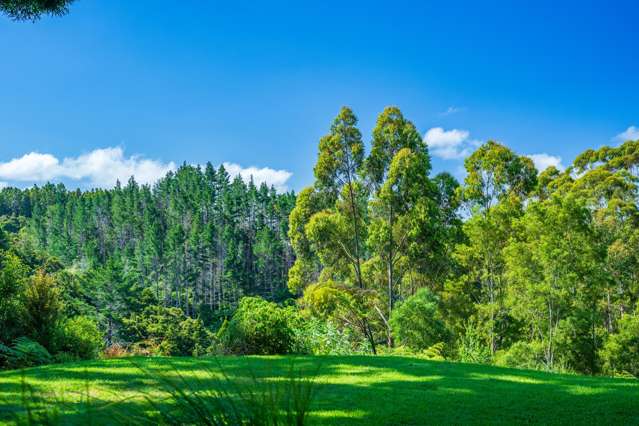 849 Owhiwa Road Parua Bay_2