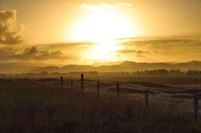 Lot 11 Hansen Road Makauri_2