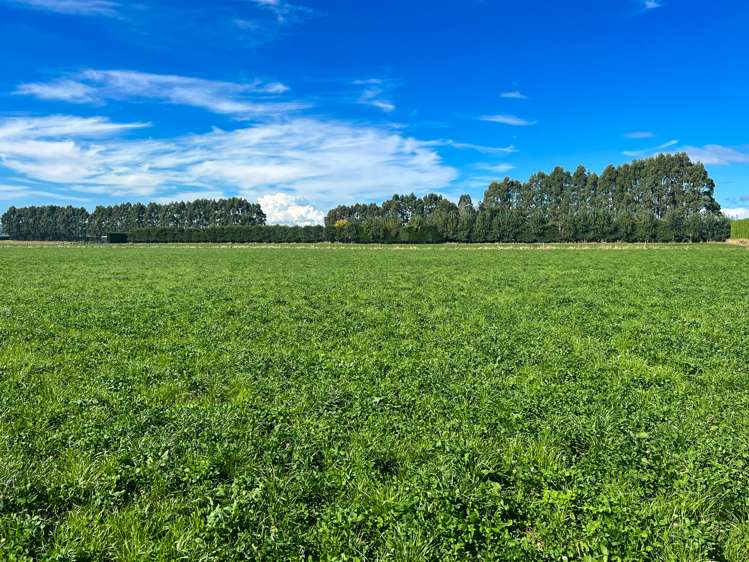 170 Norman Road Winton Surrounds_6