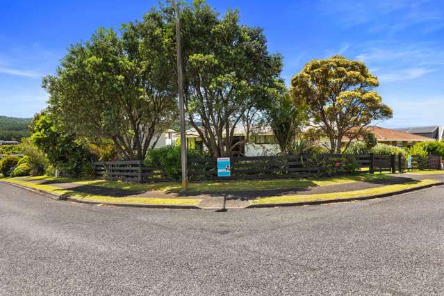 245 Onemana Drive Onemana_1