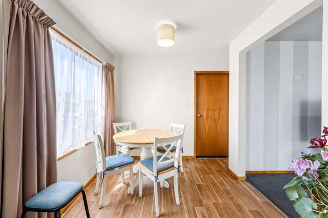79 Chelsea Street Linwood_3