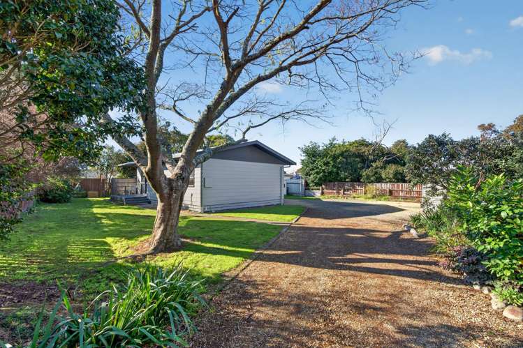 23C Harley Street Masterton_13