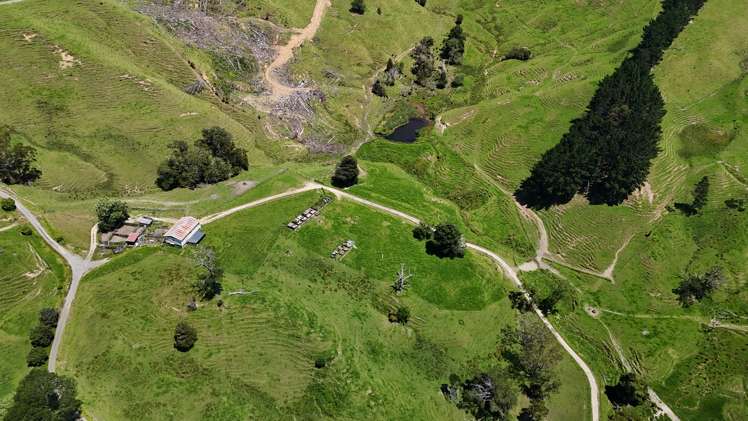 444 Wharekawa Road Oue_13