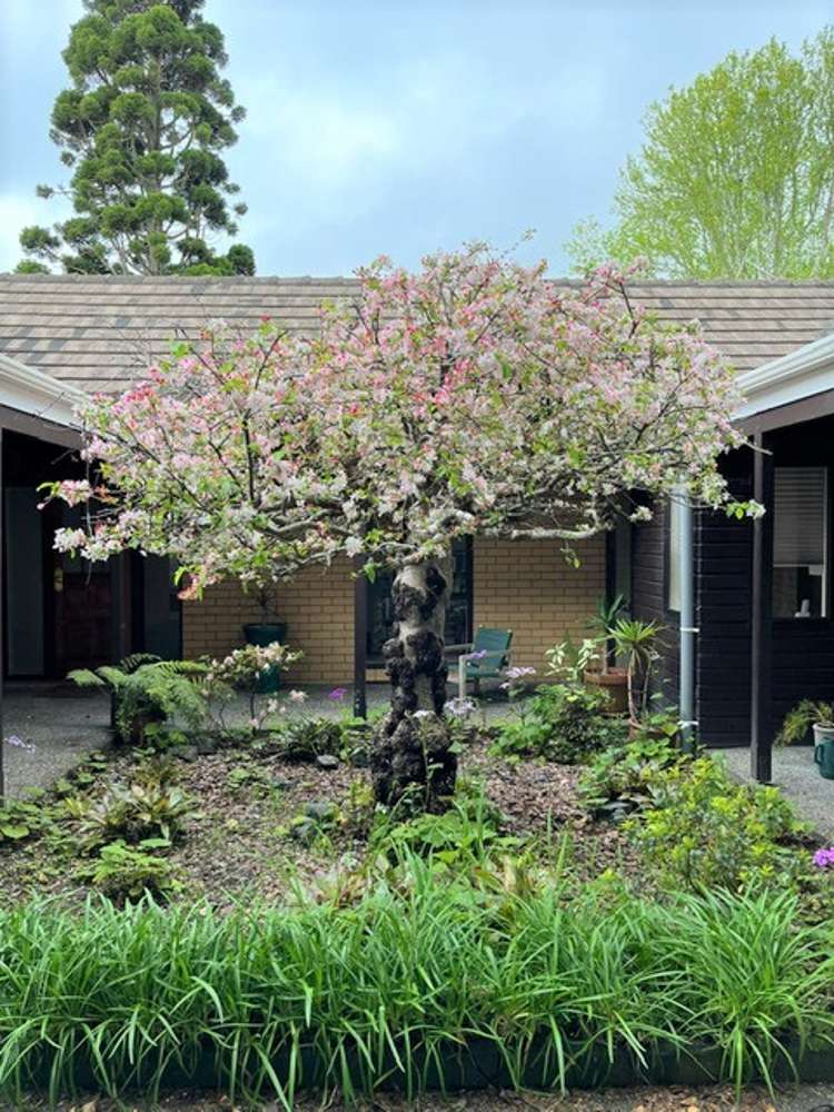 42 Armitage Road Wellsford_9