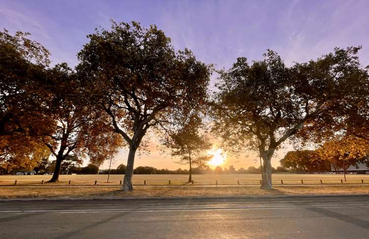 8 Lyttelton Street Somerfield_21