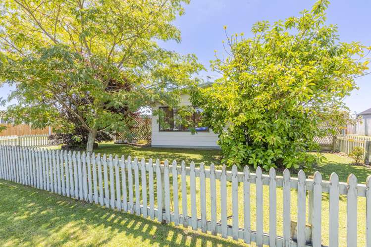 34 Lancaster Street Tamatea_21