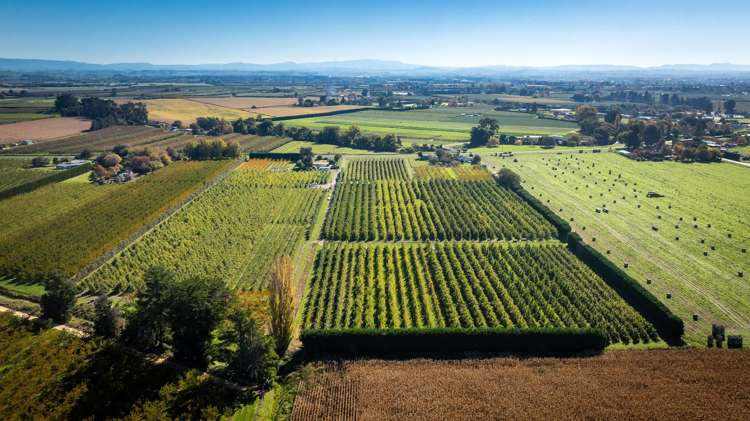 83 Mount Erin Road Havelock North_10