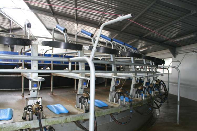 590e Koheroa Road Mangatawhiri_8