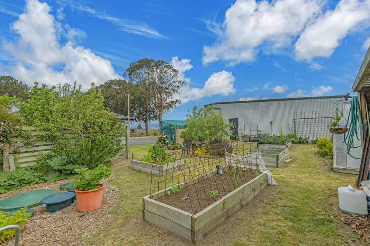 63 Bergin Road Foxton_31
