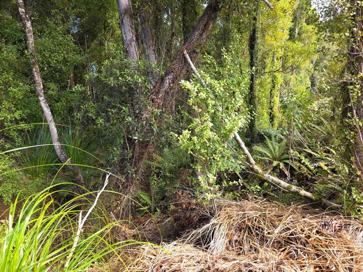 Ballarat Rise Awatuna_5