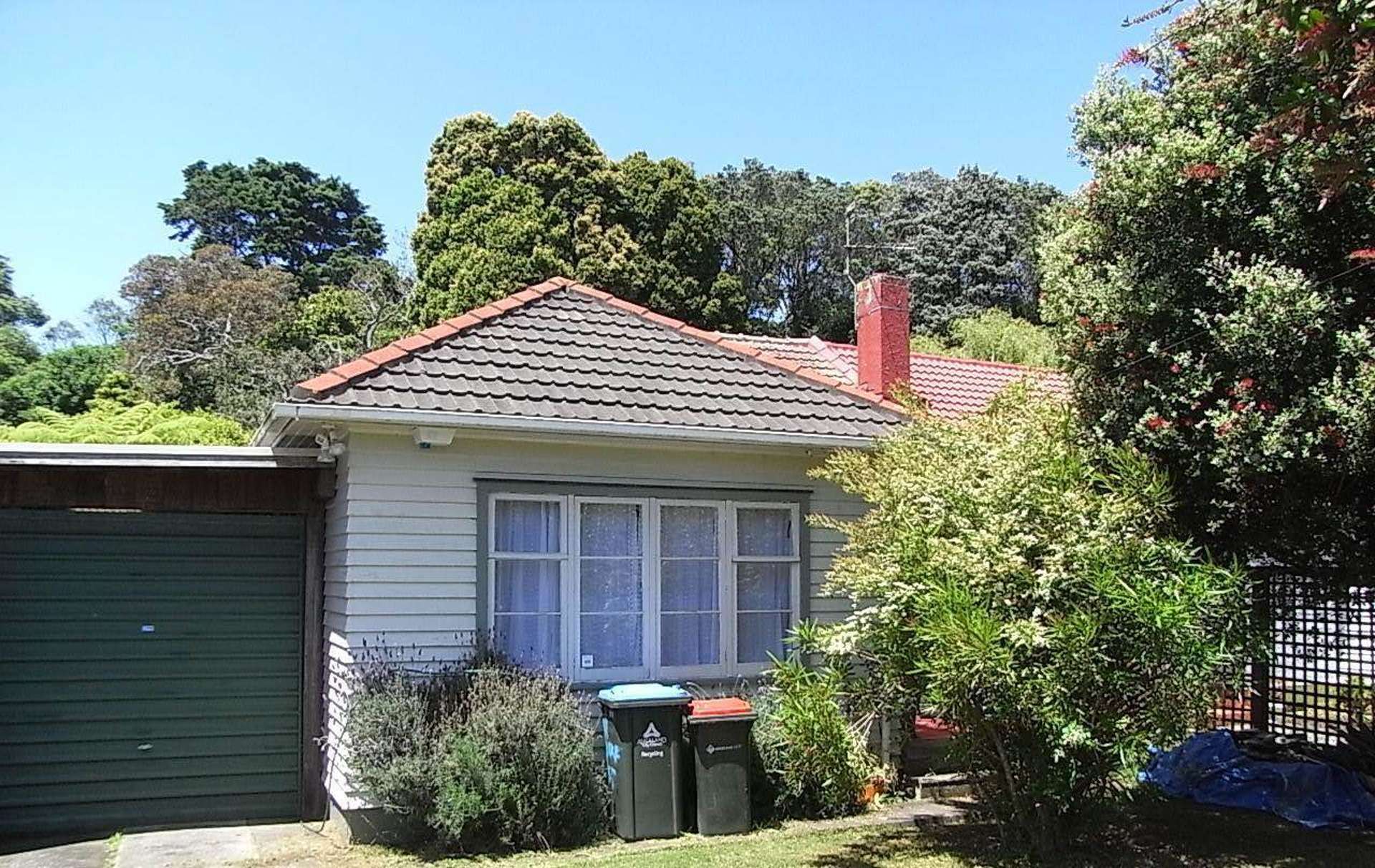 101 Duke Street Mount Roskill_0