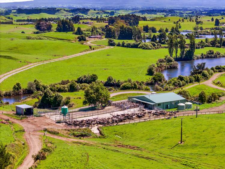 137 Ratapiko Road Ratapiko_13