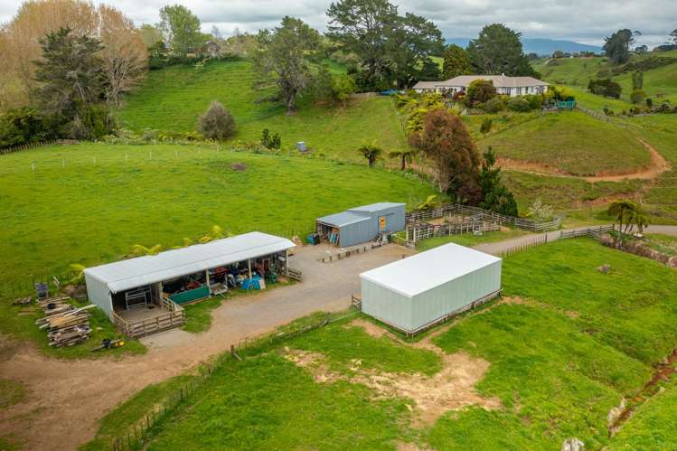 79 Dorset Road Hillsborough_30