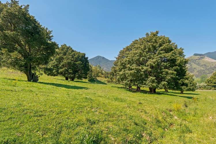 30 Twidles Road Havelock_13