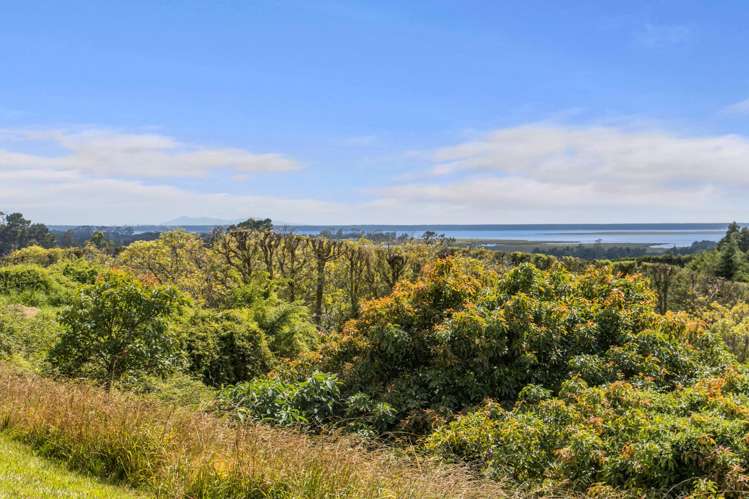 243B Wright Road Katikati_16