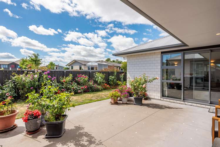 24 Barry Curtis Place Levin_6