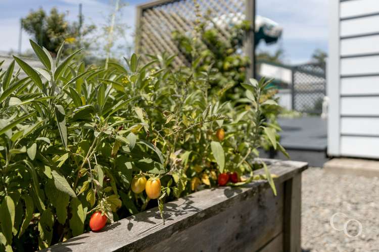 126 Sixteenth Avenue Tauranga South_30