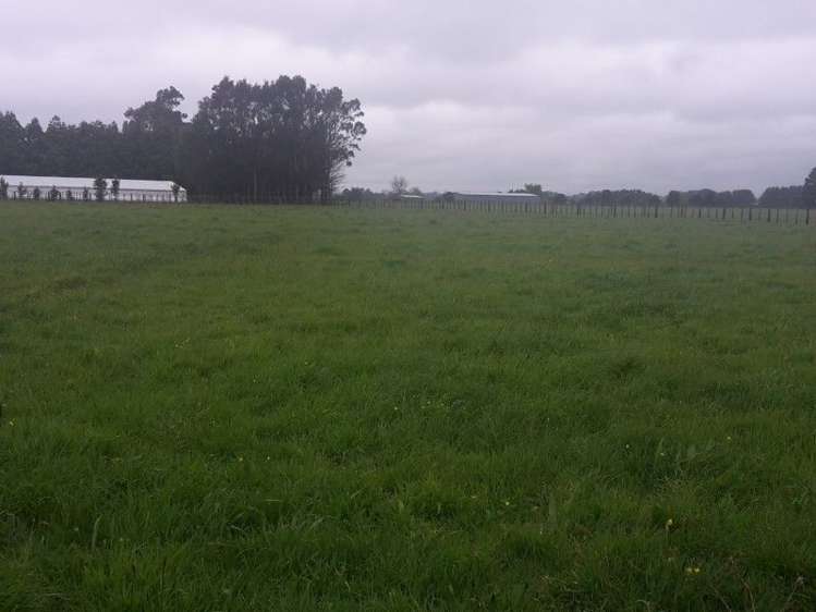 46 Airport Drive New Plymouth Airport_15