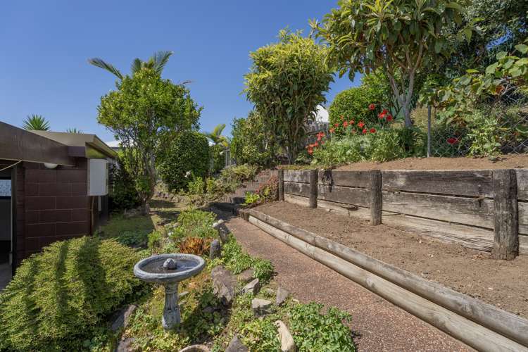 14 Pine Grove Tairua_45