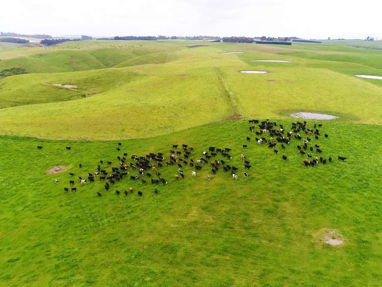 1471 Georgetown-Pukeuri Road Awamoko_11