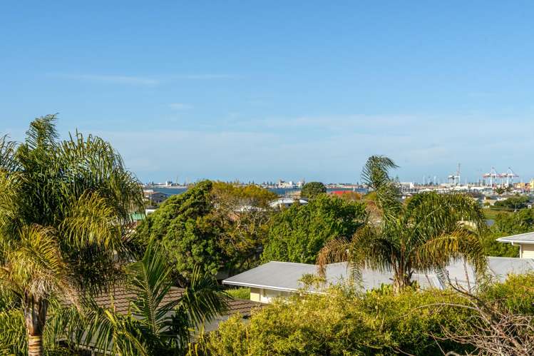 36 Norton Road Otumoetai_6