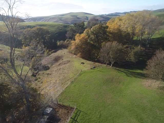 100 Hikurangi Road Otorohanga_3