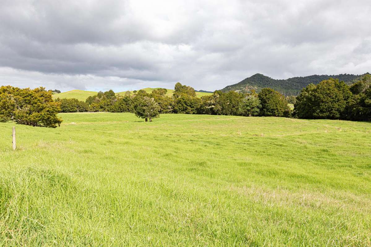 30C Te Ranga Road_1