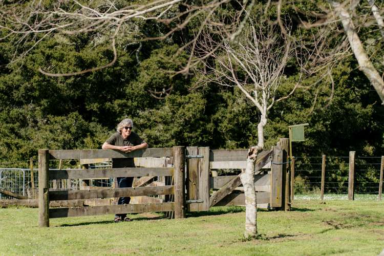 1549H Great South Road Ramarama_23