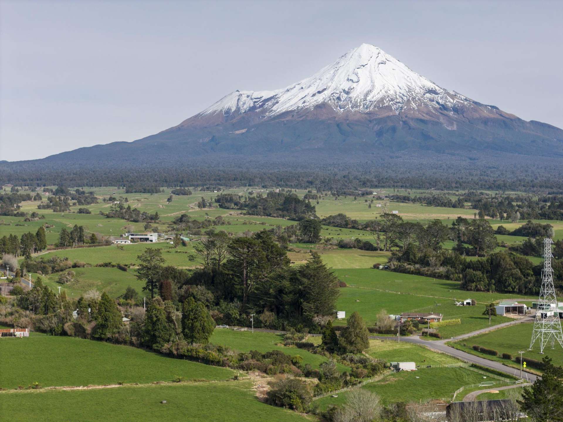 407 Surrey Road Inglewood_0