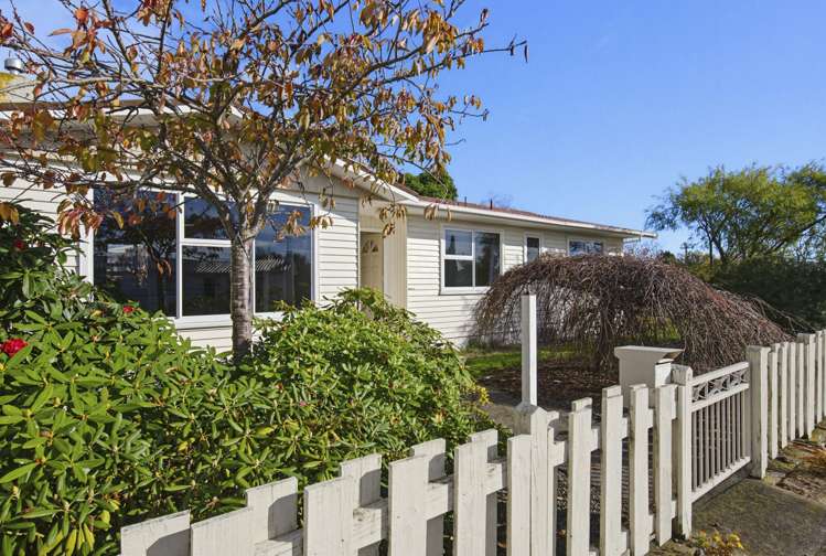 2 Grey Street Levin_17
