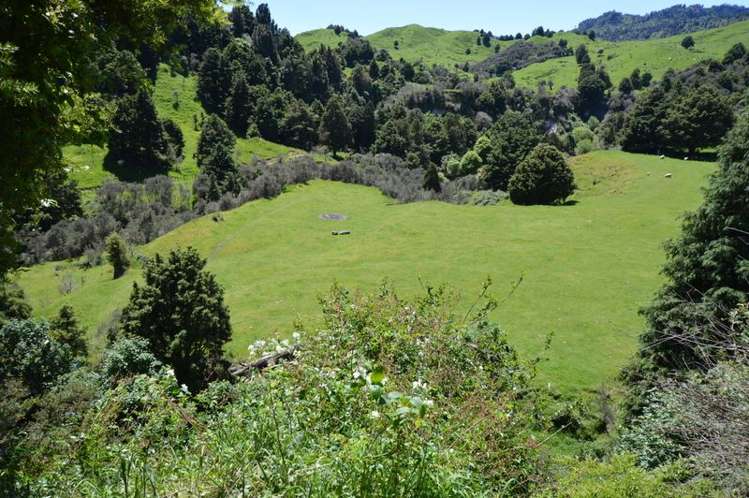 449 Pungapunga Valley Road Taumarunui_27