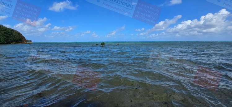 Address withheld Savusavu_16