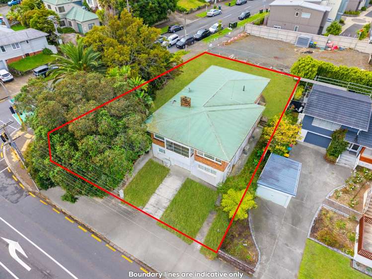 210 Blockhouse Bay Road Avondale_19