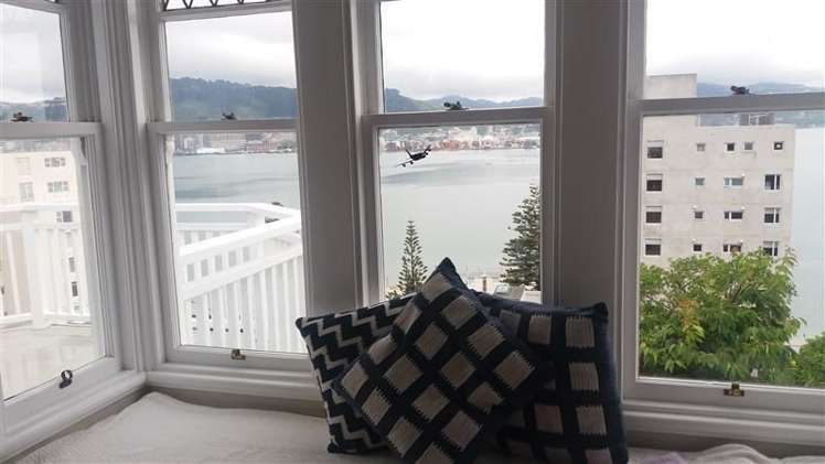 6 Baring Street Oriental Bay_11