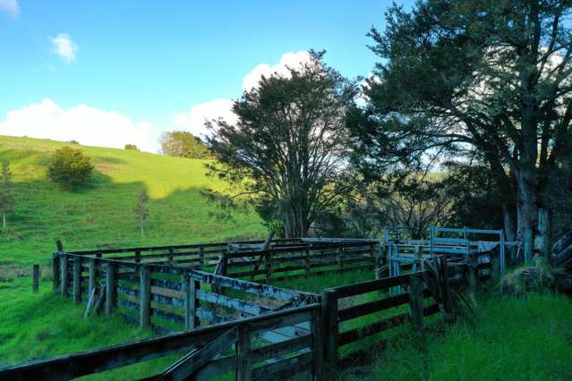 34 Wairere Valley Road Paparoa_3