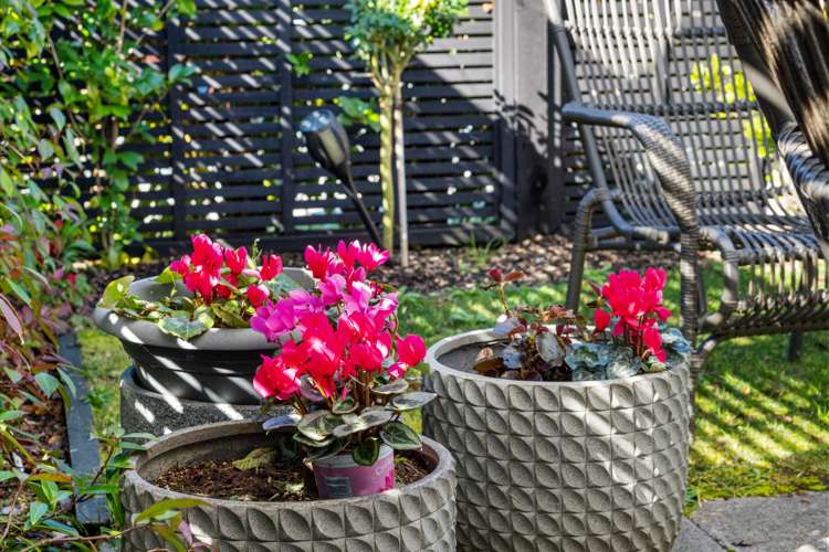 26b Yanicks Crescent Fitzroy_11