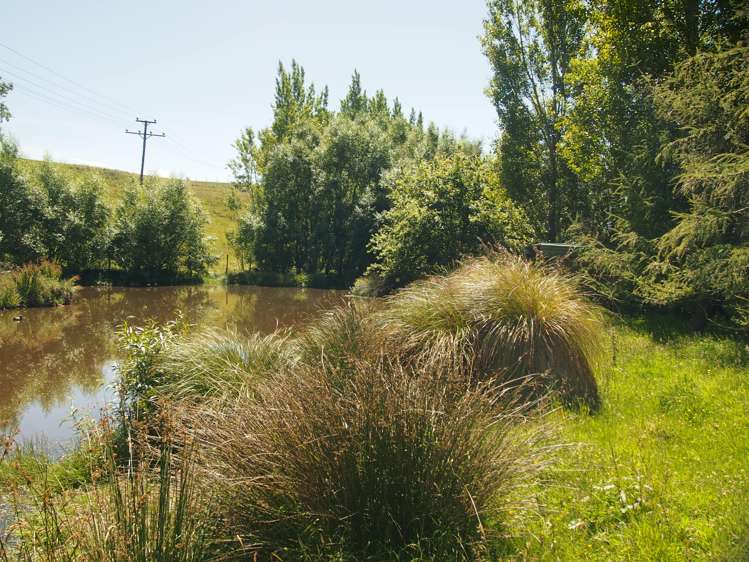 210 Terry Road Gore_18