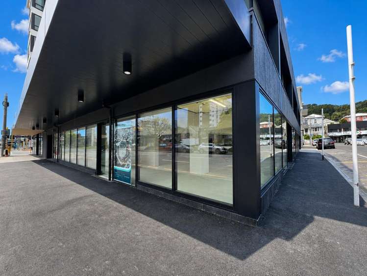 34 Kent Terrace Mt Victoria_1