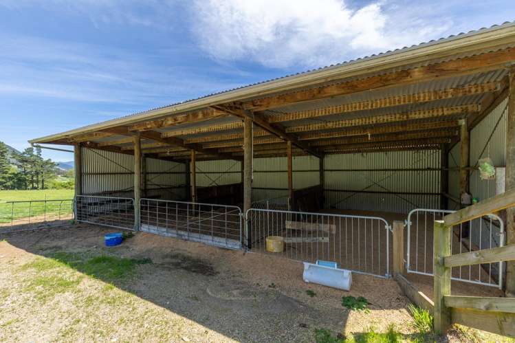 537 Ronga Road Rai Valley_34