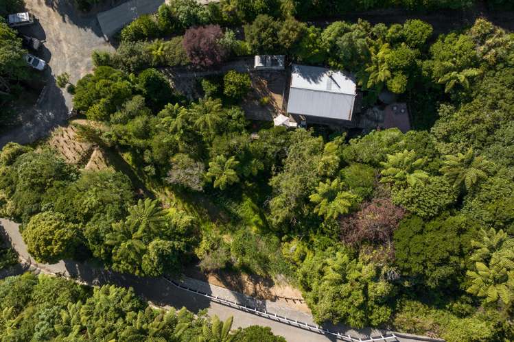 786 Queen Charlotte Drive Havelock_2
