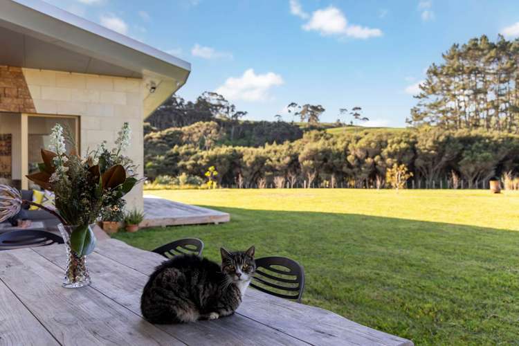 123 Valley Road Waimauku_28