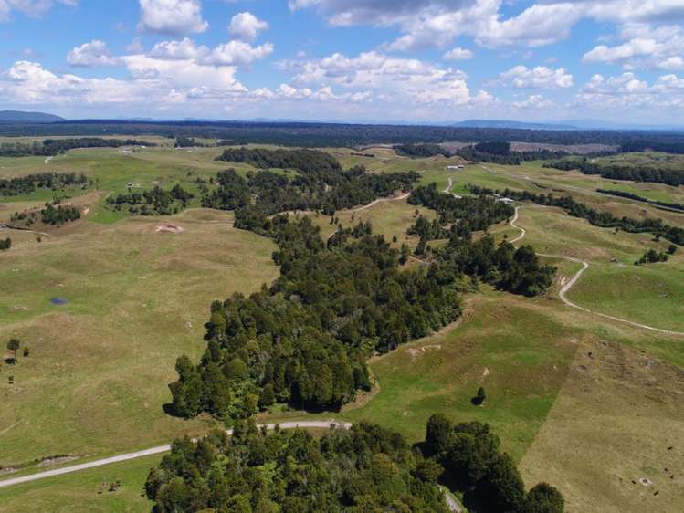 627 South Road Mamaku_18