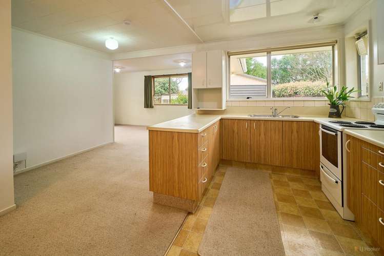 23 Flatman Crescent_2