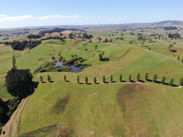 Paekaka Road Piopio_20