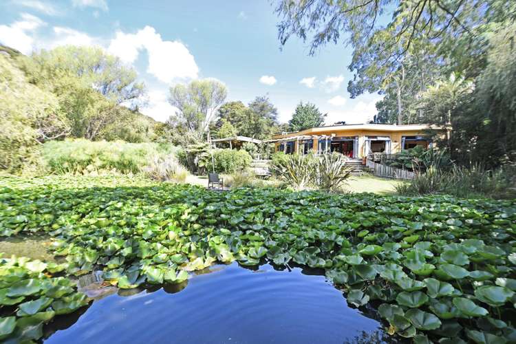 594 Matakana Valley Road Matakana_11