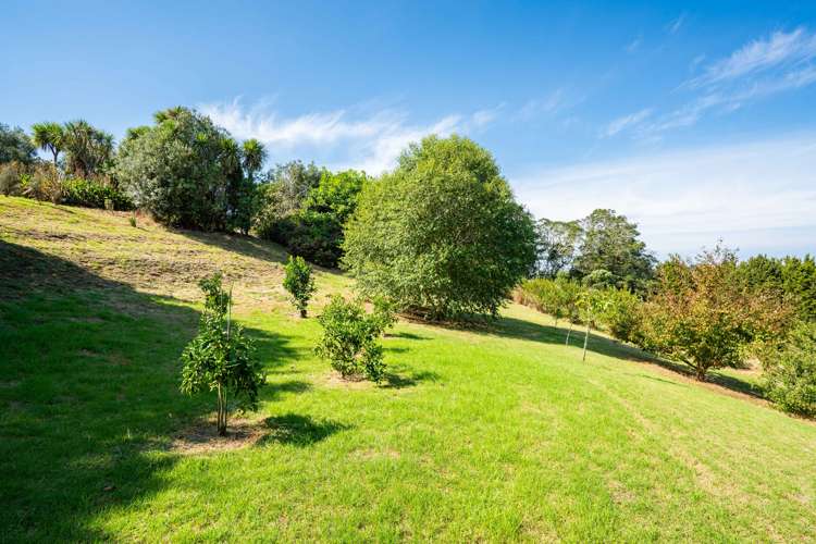 235 Devich Road Mangawhai_29