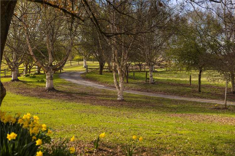 21 Speargrass Flat Road Speargrass Flat_14