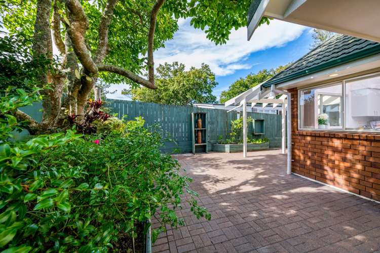 1/74 Cook Street Howick_19