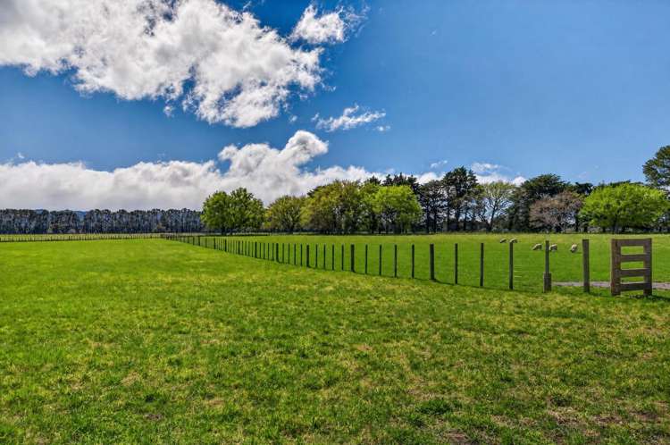 2 / 36A Spencer Lane Greytown_10