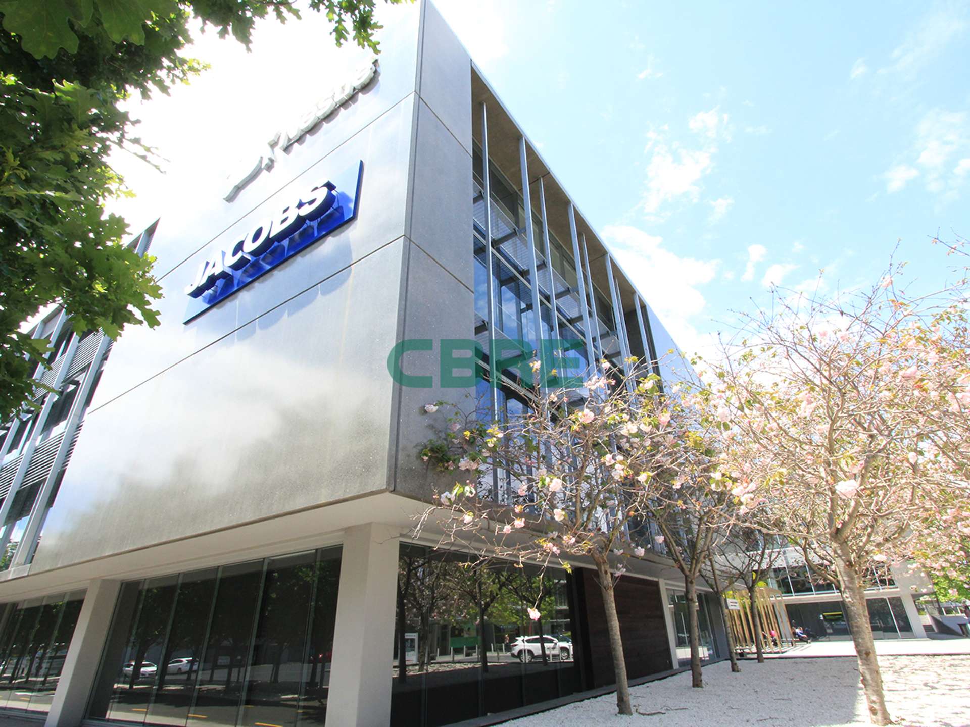 12 Nicholls Lane Parnell_0